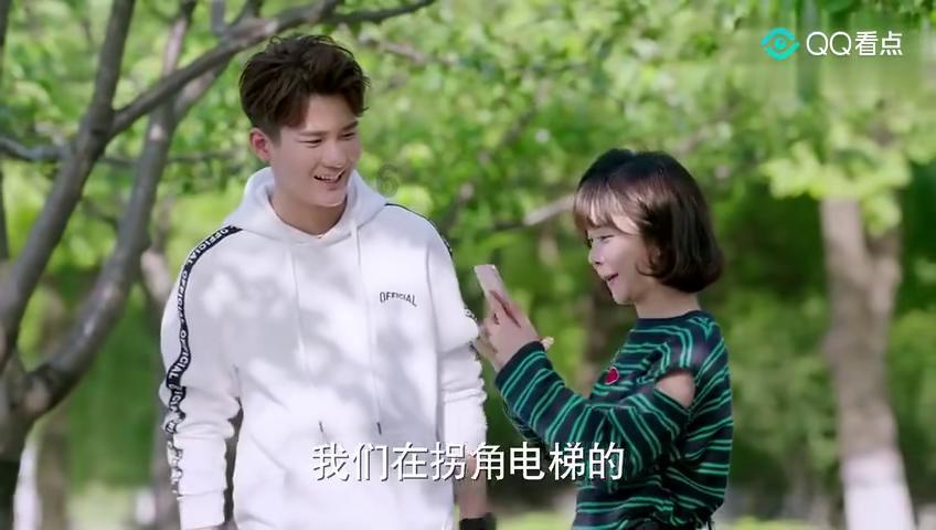 惊喜!“国宝”中华秋沙鸭现身湖南保靖酉水国家湿地公园