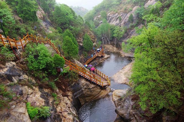 小僵尸射飞鸟