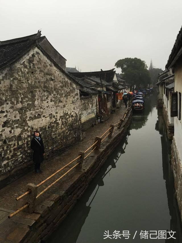 饥饿的哈利